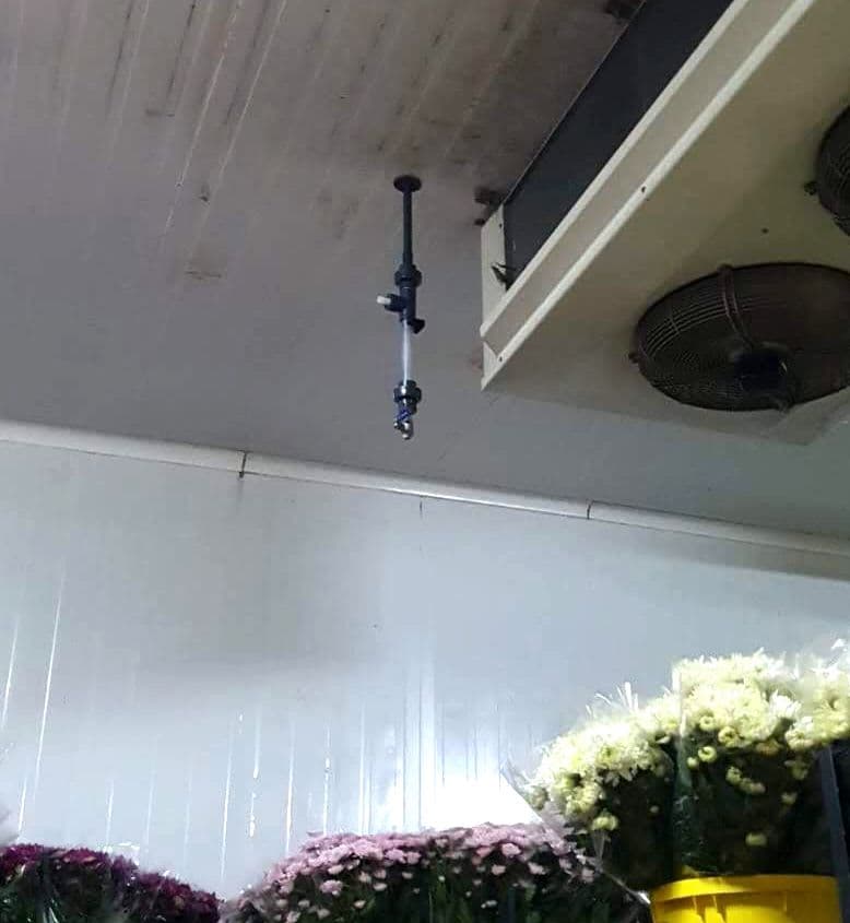 Injetor de ozônio com trampa de condensados instalado no teto, à frente do evaporador